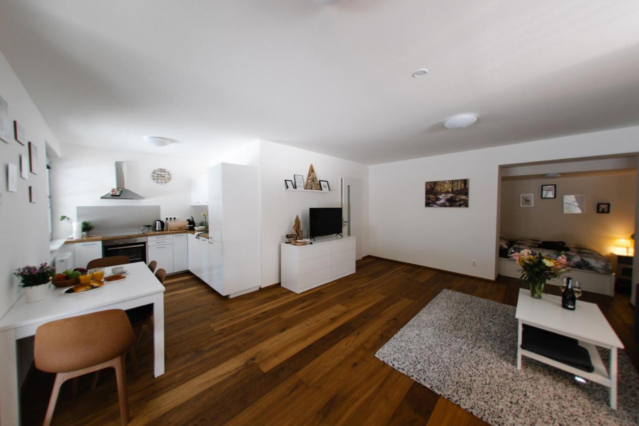 Apartmán s nádherným výhledem v centru Harrachova Exteriér fotografie